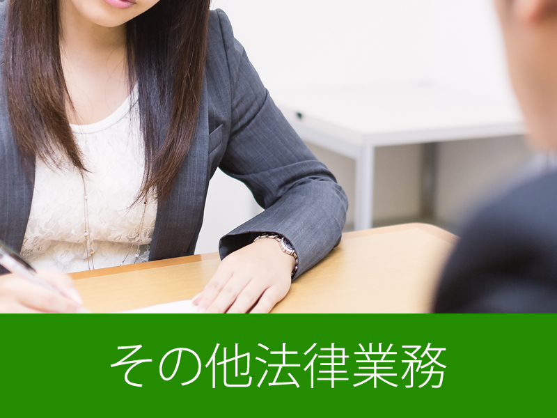 その他法律業務